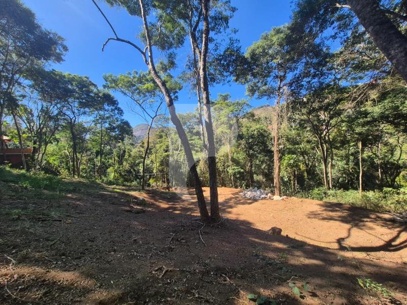 Terreno Residencial à venda em Itaipava, Petrópolis - RJ - Foto 6