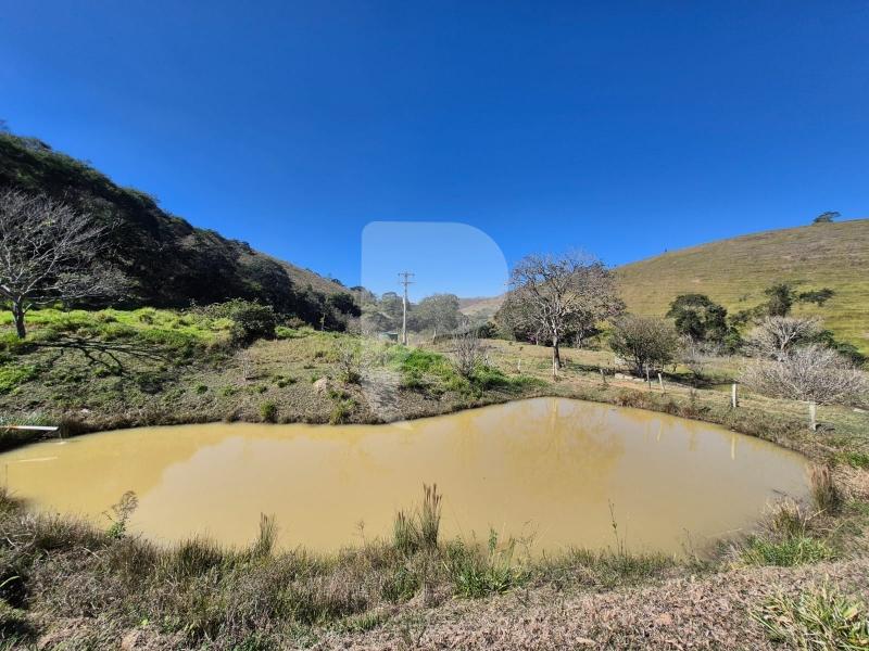 Fazenda / Sítio à venda em Sardoal, Paraíba do Sul - RJ - Foto 2