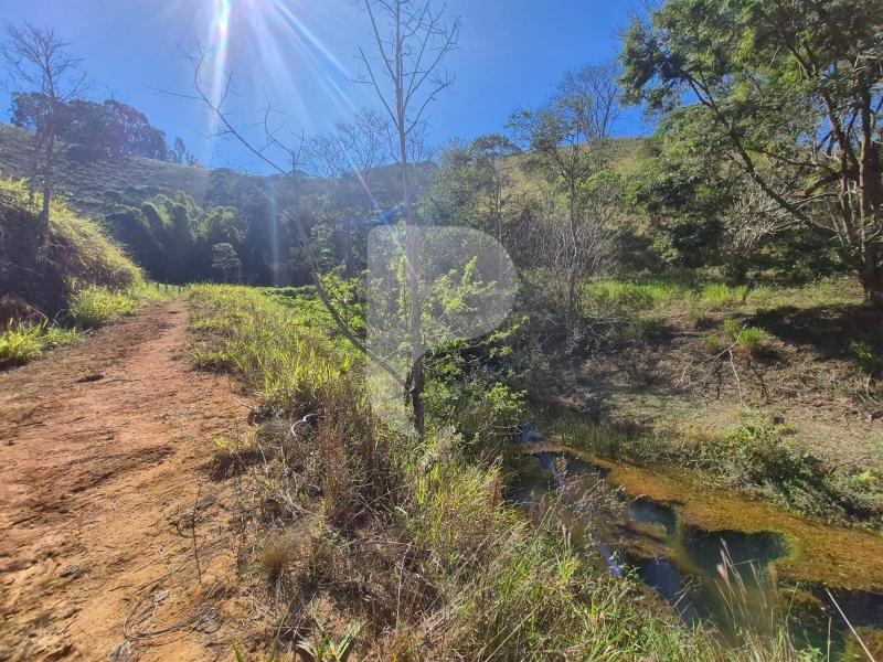Fazenda / Sítio à venda em Sardoal, Paraíba do Sul - RJ - Foto 5