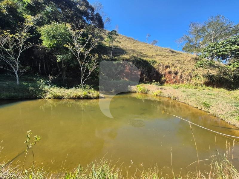 Fazenda / Sítio à venda em Sardoal, Paraíba do Sul - RJ - Foto 3