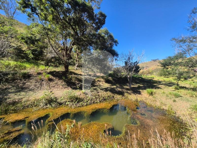 Fazenda / Sítio à venda em Sardoal, Paraíba do Sul - RJ - Foto 4