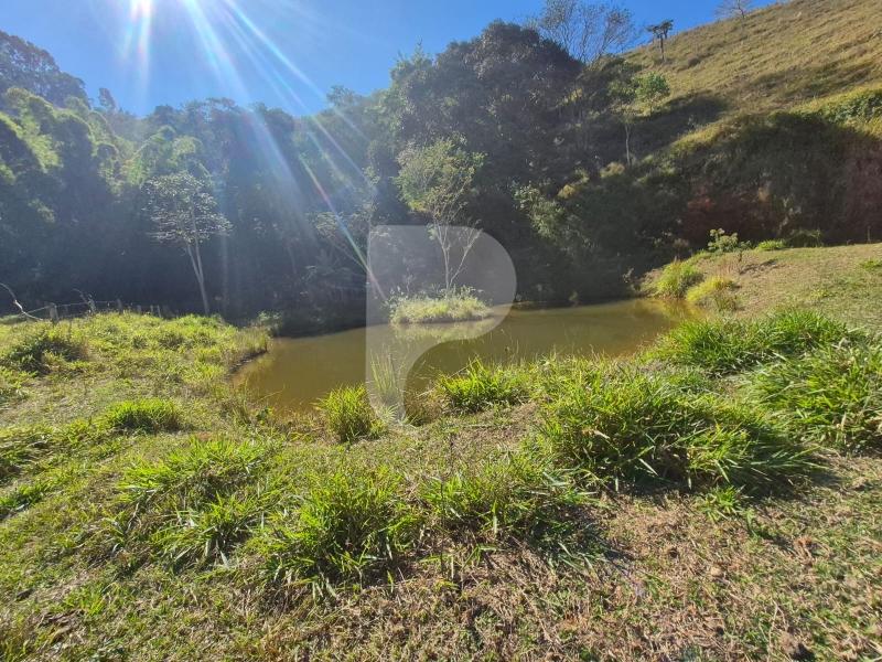 Fazenda / Sítio à venda em Sardoal, Paraíba do Sul - RJ - Foto 6