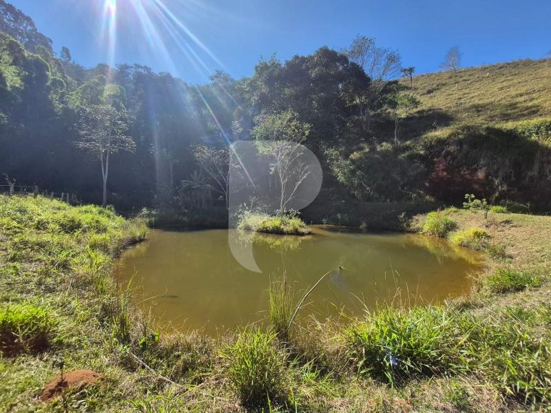 Fazenda / Sítio à venda em Sardoal, Paraíba do Sul - RJ - Foto 8