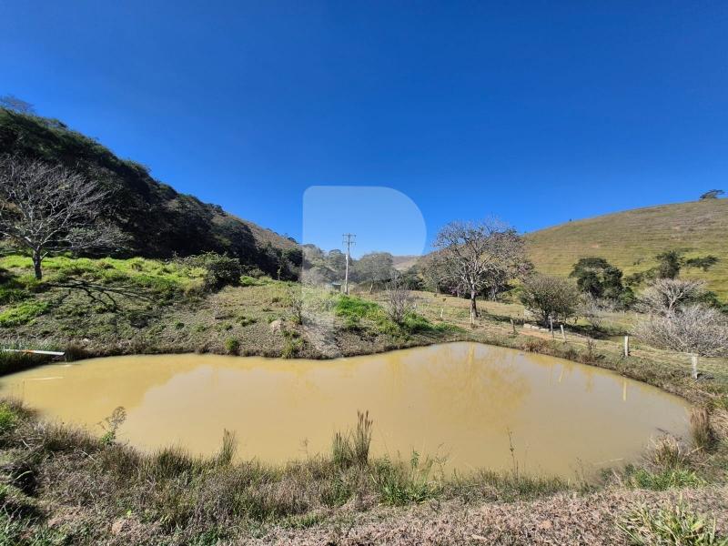 Fazenda / Sítio à venda em Sardoal, Paraíba do Sul - RJ - Foto 9