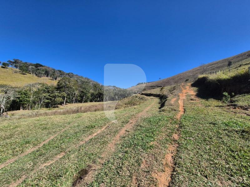 Fazenda / Sítio à venda em Sardoal, Paraíba do Sul - RJ - Foto 10