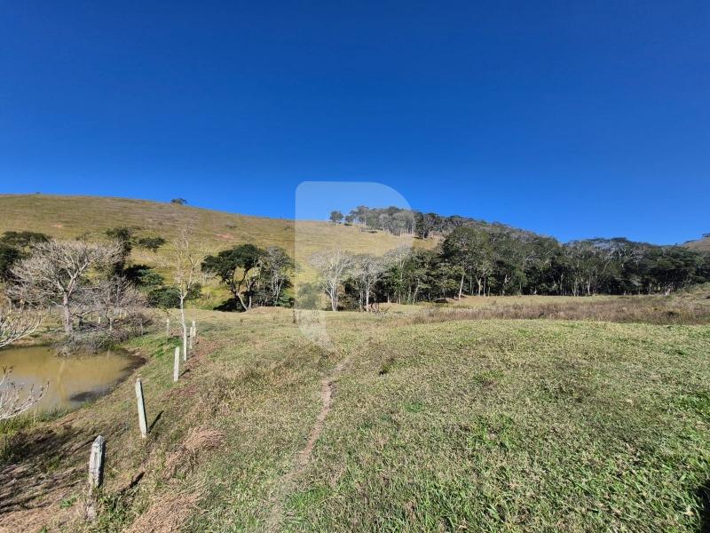 Fazenda / Sítio à venda em Sardoal, Paraíba do Sul - RJ - Foto 11