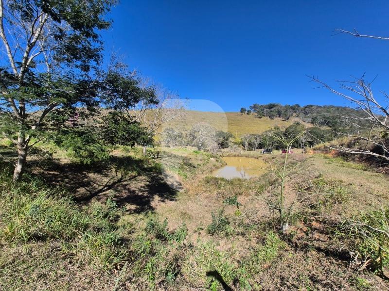 Fazenda / Sítio à venda em Sardoal, Paraíba do Sul - RJ - Foto 12