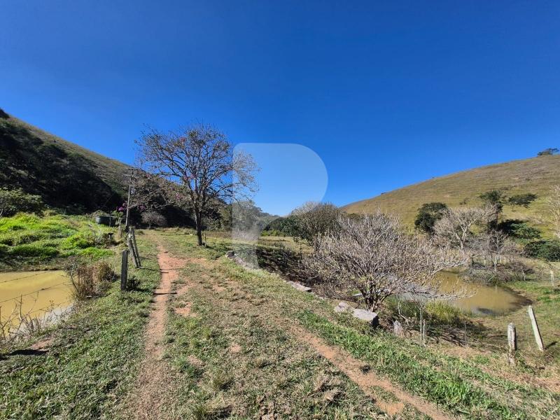 Fazenda / Sítio à venda em Sardoal, Paraíba do Sul - RJ - Foto 13