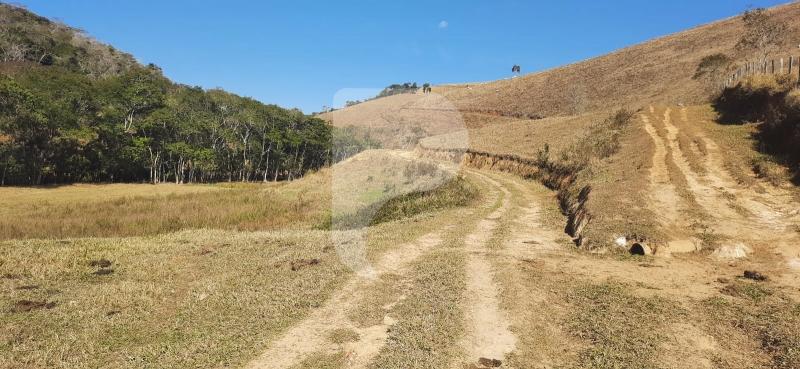 Fazenda / Sítio à venda em Sardoal, Paraíba do Sul - RJ - Foto 14