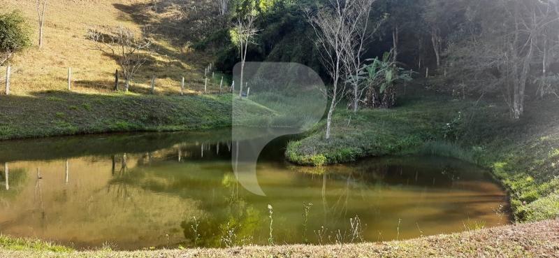 Fazenda / Sítio à venda em Sardoal, Paraíba do Sul - RJ - Foto 15