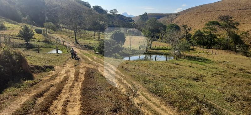 Fazenda / Sítio à venda em Sardoal, Paraíba do Sul - RJ - Foto 16