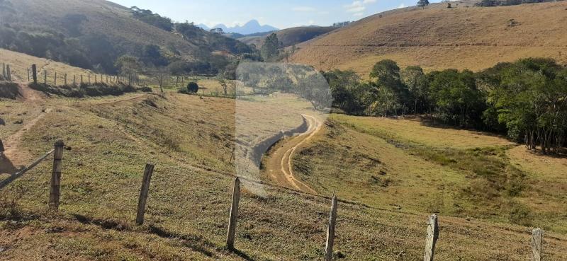 Fazenda / Sítio à venda em Sardoal, Paraíba do Sul - RJ - Foto 17