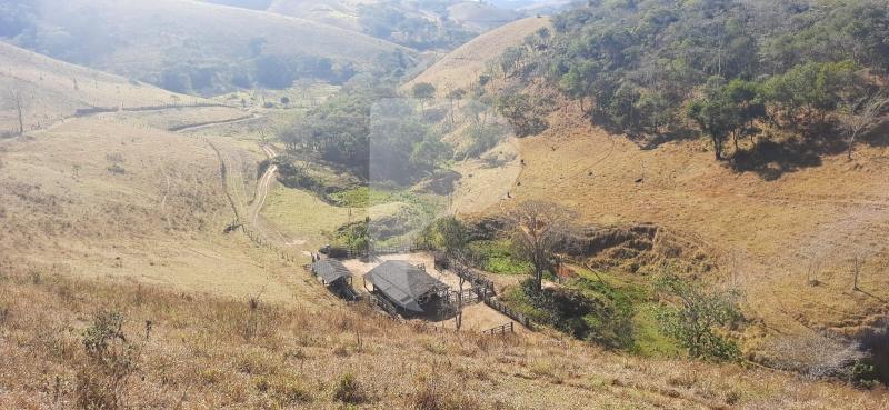 Fazenda / Sítio à venda em Sardoal, Paraíba do Sul - RJ - Foto 18