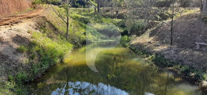 Fazenda / Sítio à venda em Sardoal, Paraíba do Sul - RJ - Foto 19