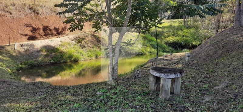 Fazenda / Sítio à venda em Sardoal, Paraíba do Sul - RJ - Foto 21
