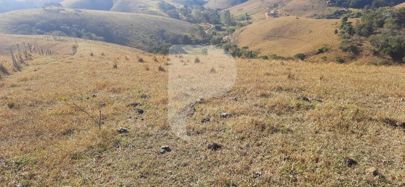 Fazenda / Sítio à venda em Sardoal, Paraíba do Sul - RJ - Foto 22