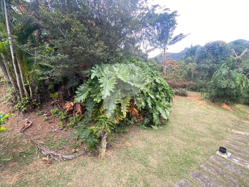 Casa à venda em Itaipava, Petrópolis - RJ - Foto 30
