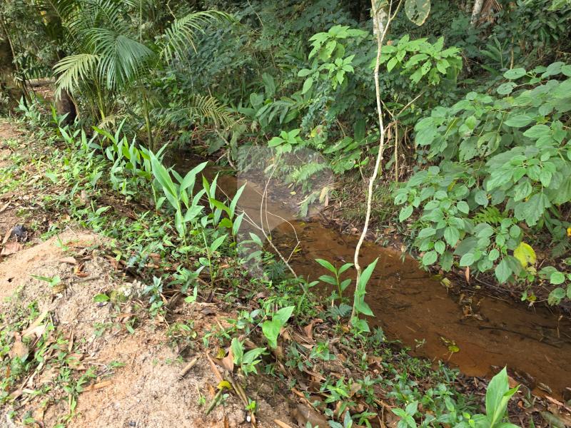 Terreno Residencial à venda em Itaipava, Petrópolis - RJ - Foto 9