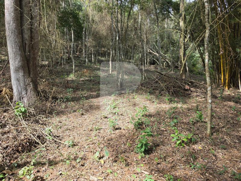 Terreno Residencial à venda em Araras, Petrópolis - RJ - Foto 2