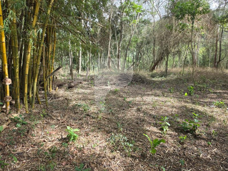 Terreno Residencial à venda em Araras, Petrópolis - RJ - Foto 3