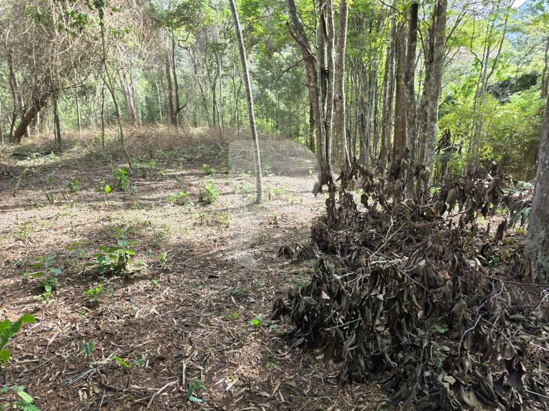 Terreno Residencial à venda em Araras, Petrópolis - RJ - Foto 4