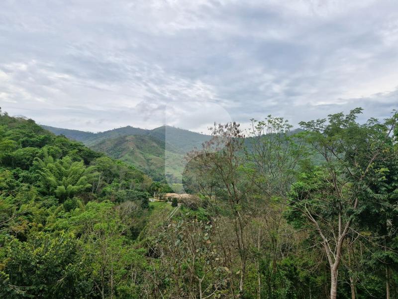 Casa à venda em Secretário, Petrópolis - RJ - Foto 18