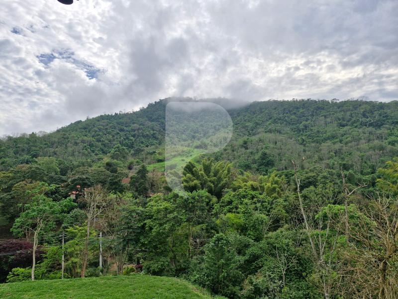 Casa à venda em Secretário, Petrópolis - RJ - Foto 19