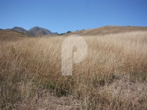<?=Terreno Residencial em Petrópolis, Itaipava?>